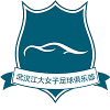 武汉车都江大女足 武汉车都江大女足